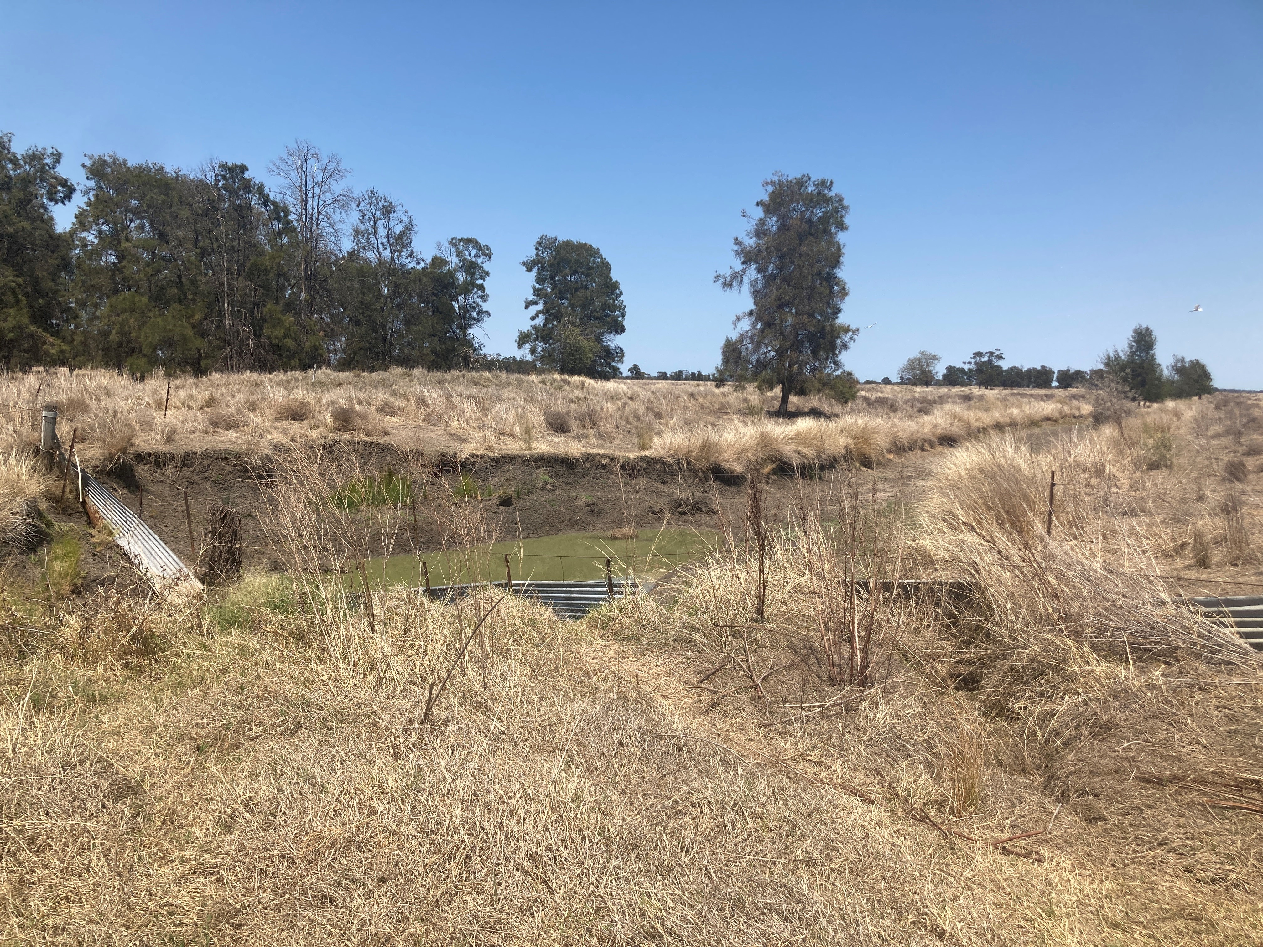 Jandowae Creek