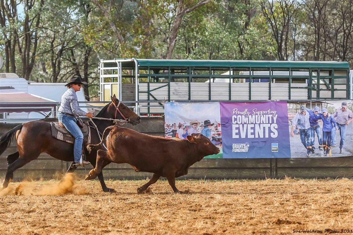 Hannaford The Gums Campdraft - Local Events Program.JPG