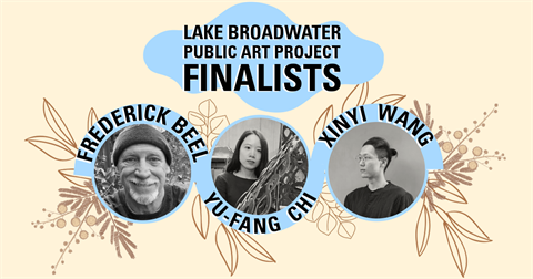 Lake Broadwater Public Arts Project.png