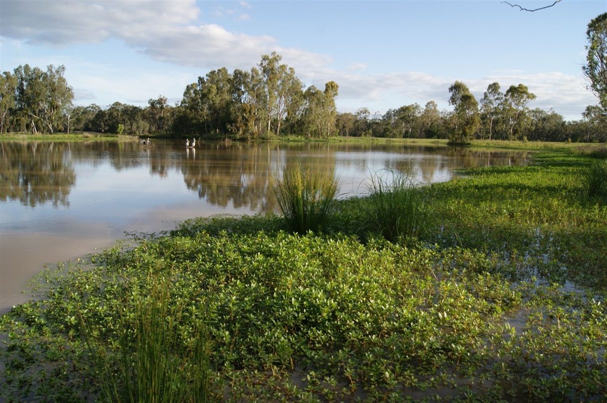 Natural Resource Management Western Downs Regional Council