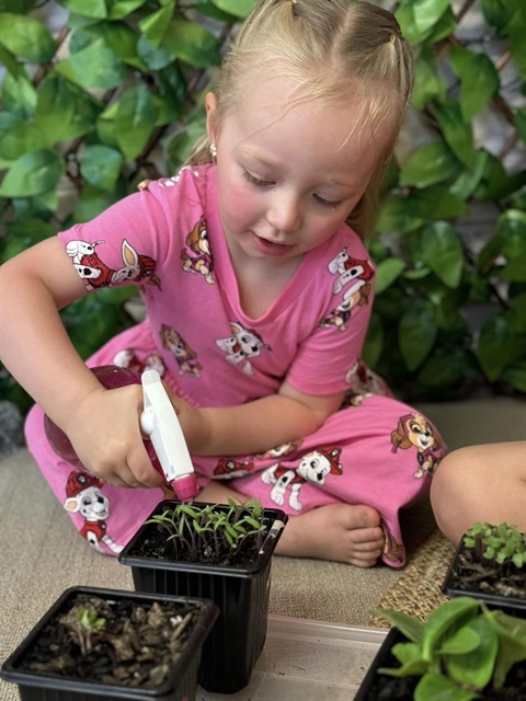 Daycare Seed Library (1).jpg